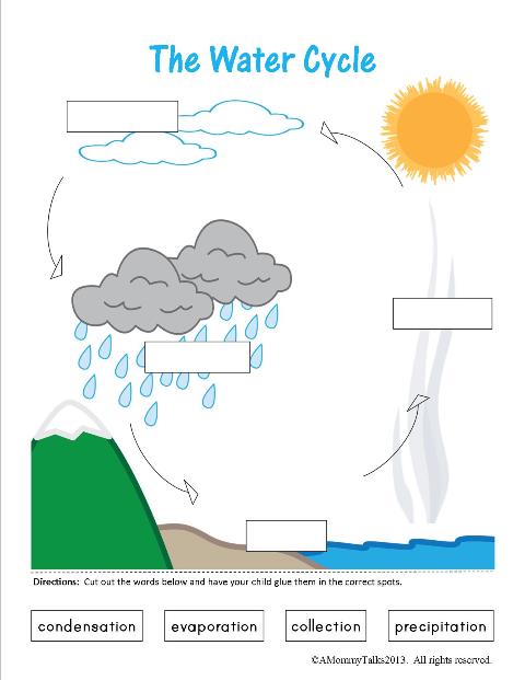 The Water Cycle