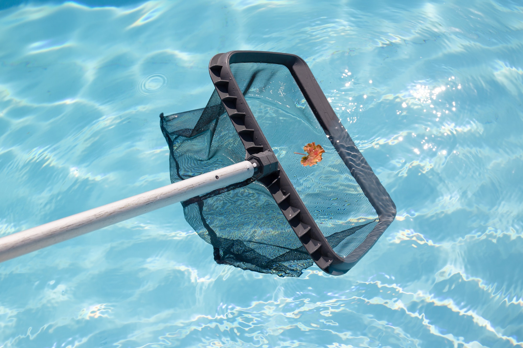 5 Reasons Why Regular Pool Maintenance is Crucial for Your Pool's